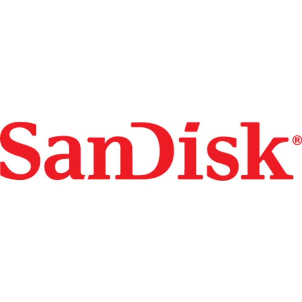 SanDisk SDSDUNC-032G-GN6IN Ultra SDHC UHS-I Card 32GB 80MB/s Class 10, Gris,