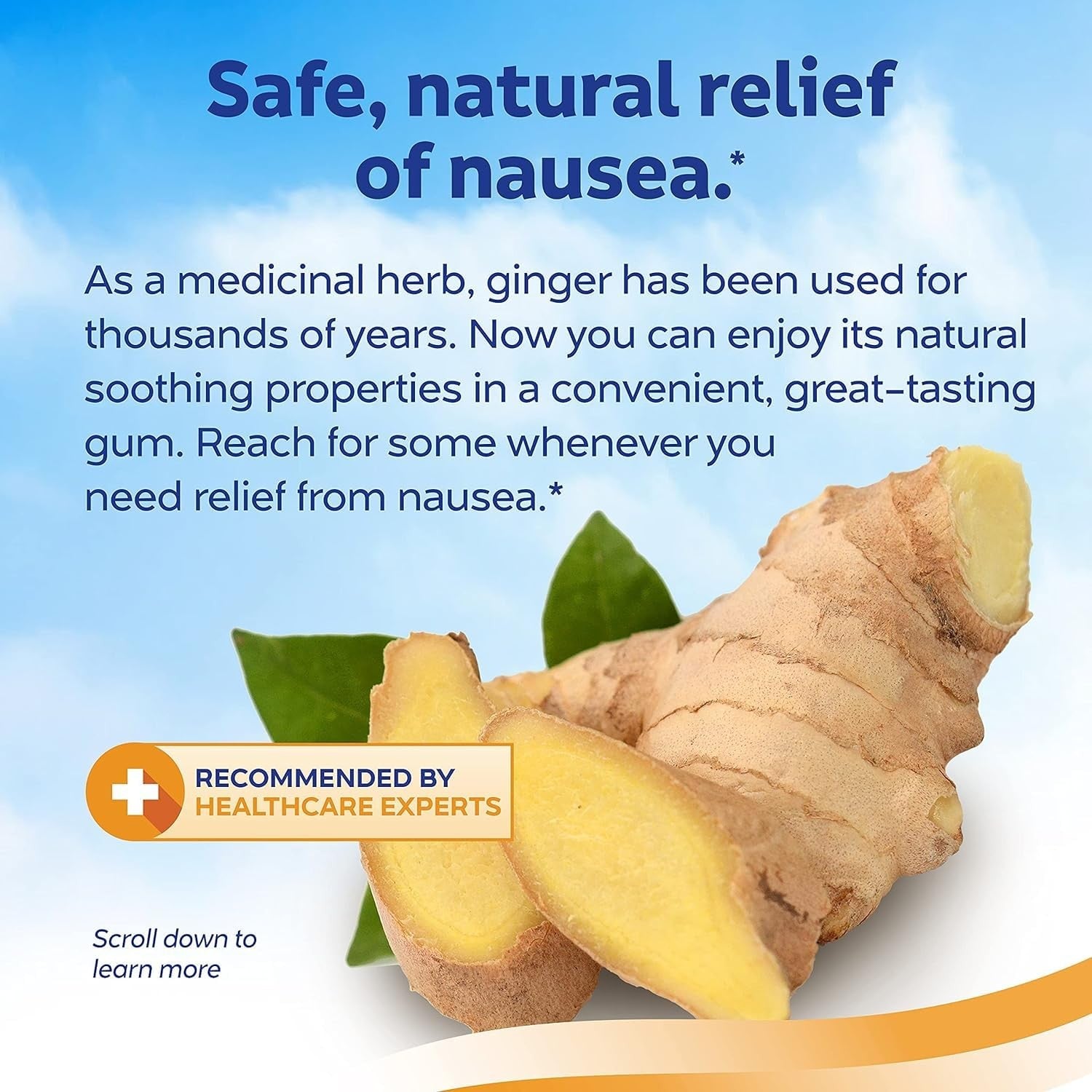 Sea-Band Anti-Nausea Ginger Gum 24 (2 Pack)