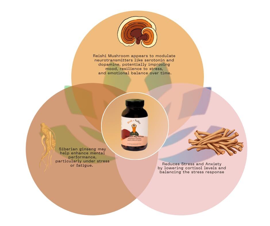 Peak + Valley Stress Relief Supplement for Mood Support Balance My Stress