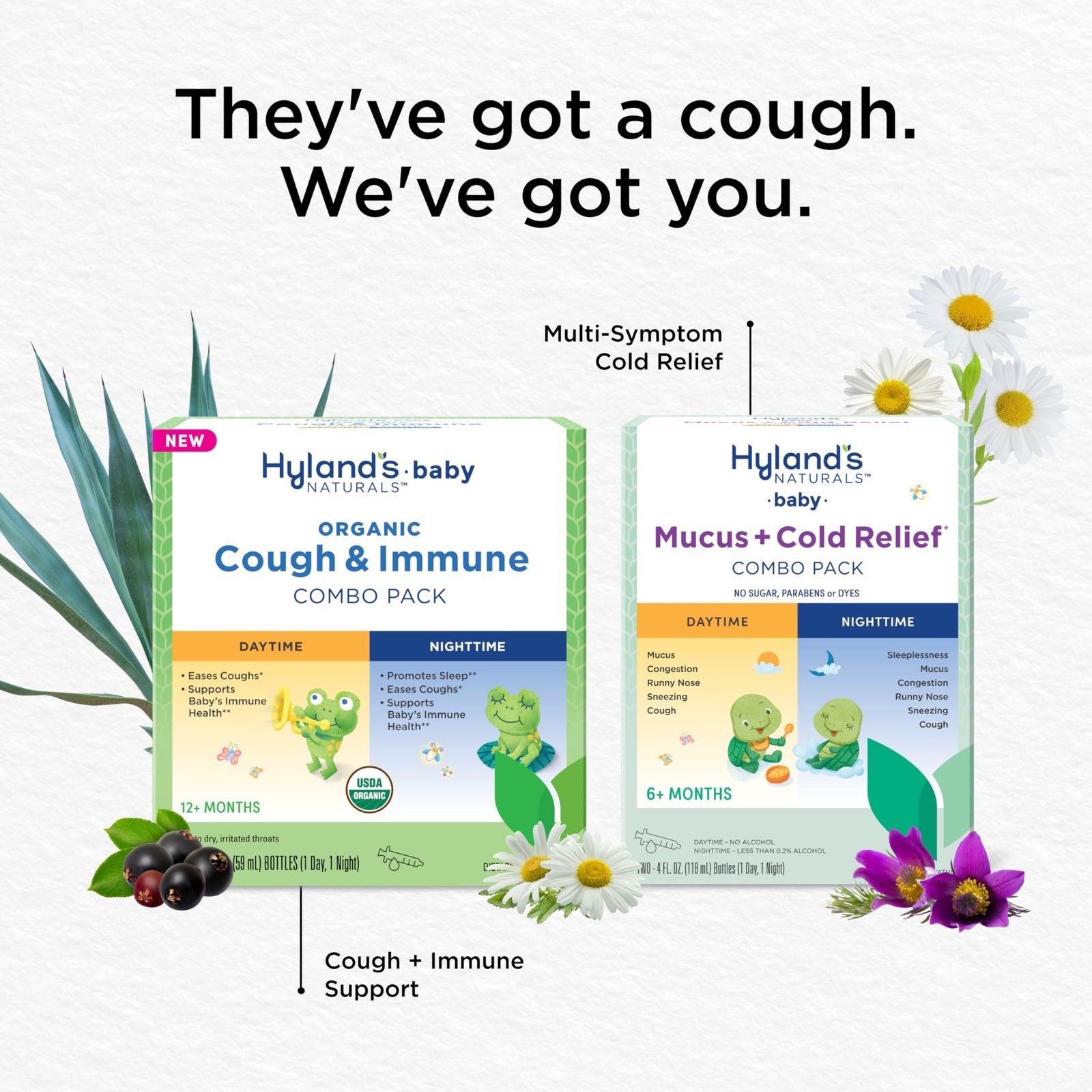 Hyland's Baby Organic Cough Syrup and Immune Support with Agave, Elderberry and