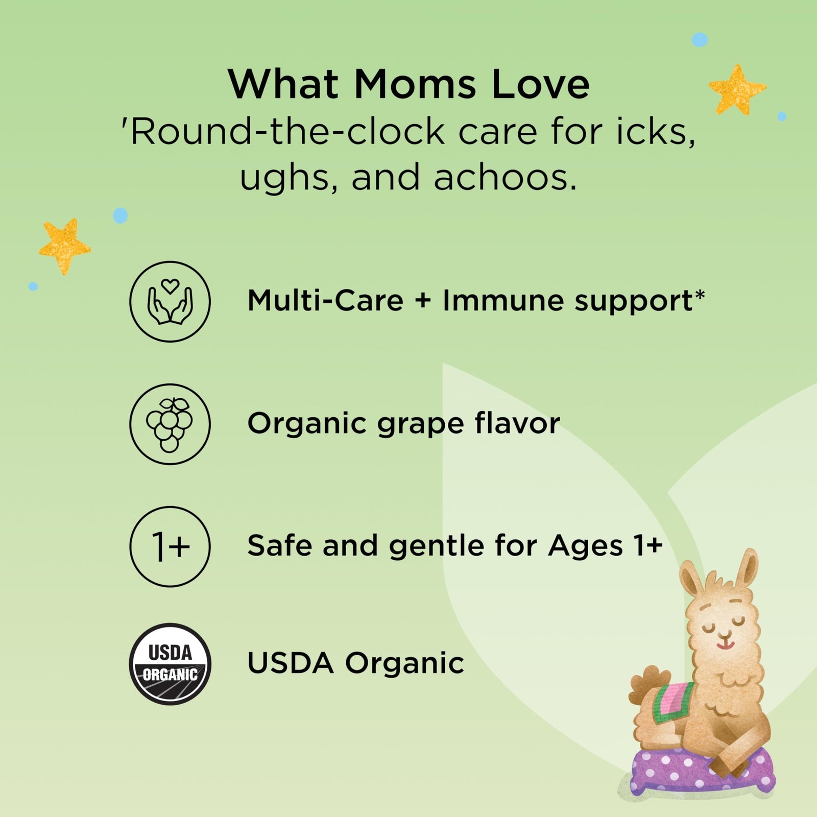 Hyland's Kids Organic All in One Cough Syrup Nighttime - Grape