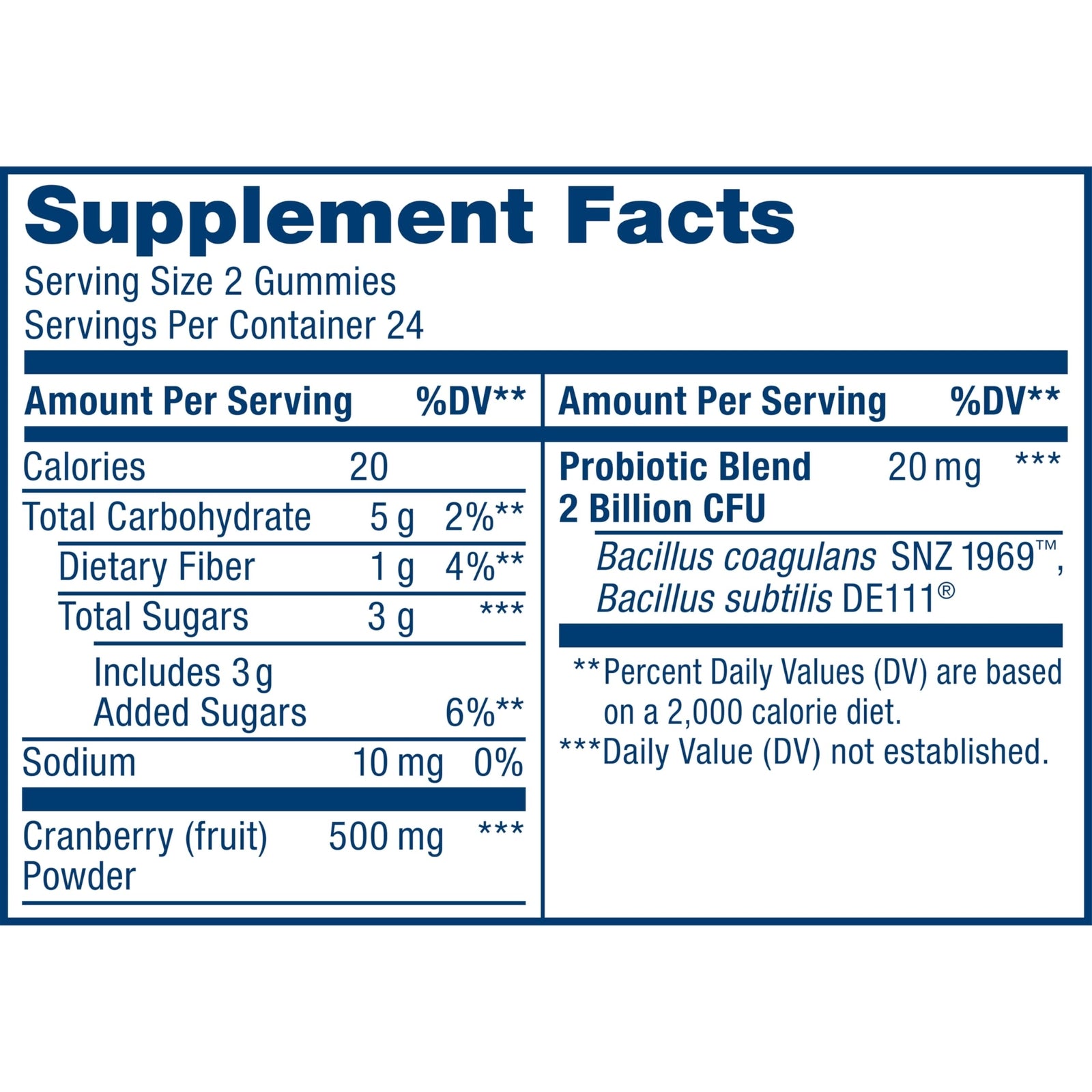 Renew Life Women's Wellness Probiotic Gummies, Probiotic Supplement for Urinary