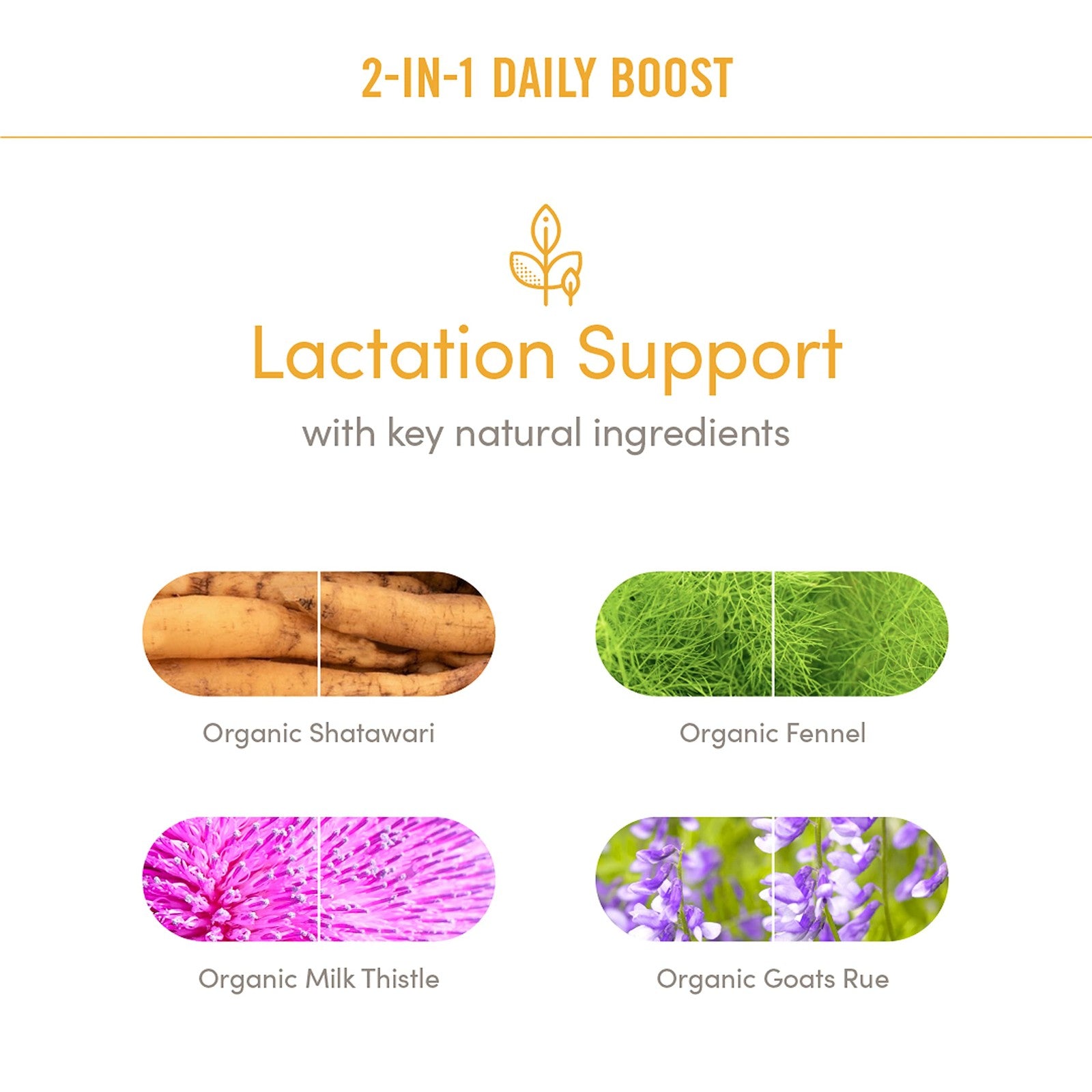 Munchkin® Milkmakers® Daily Boost 2-in-1 Lactation Supplements for