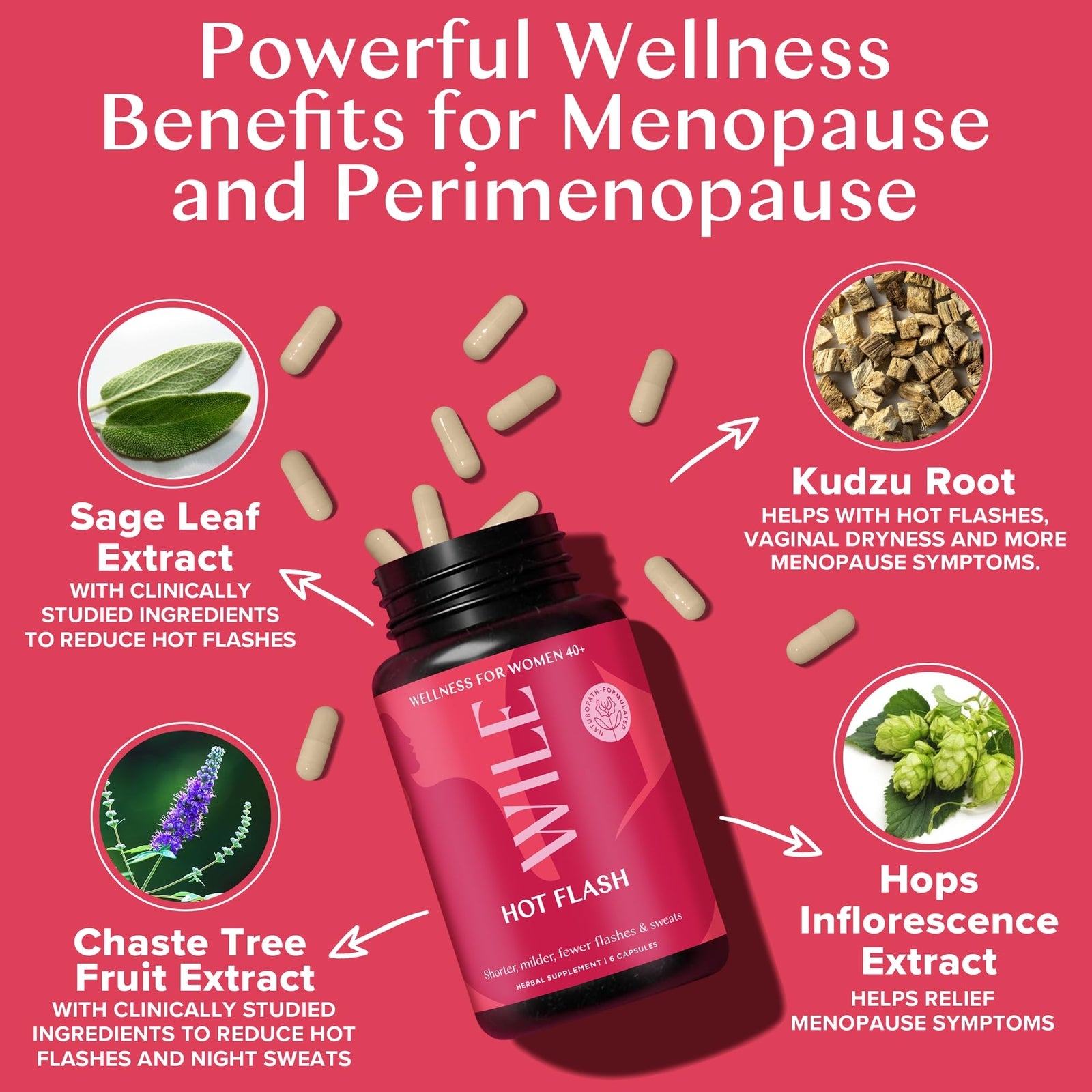 WILE Menopause and Perimenopause Supplements for Women - Hot Flashes and Night
