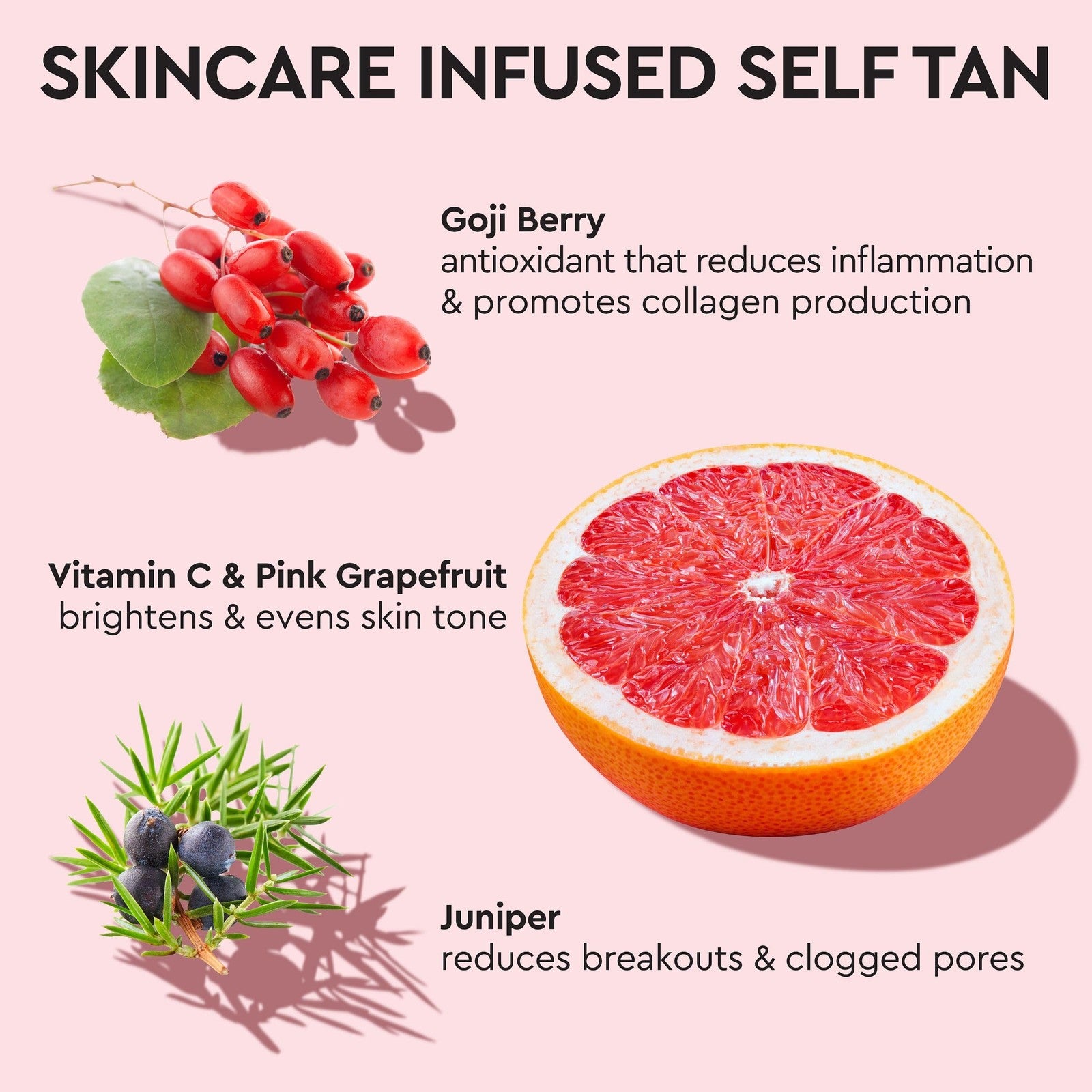 Tanologist Light Self Tan Drops, Streak-Free Body & Face Tanning Drops, No Fake