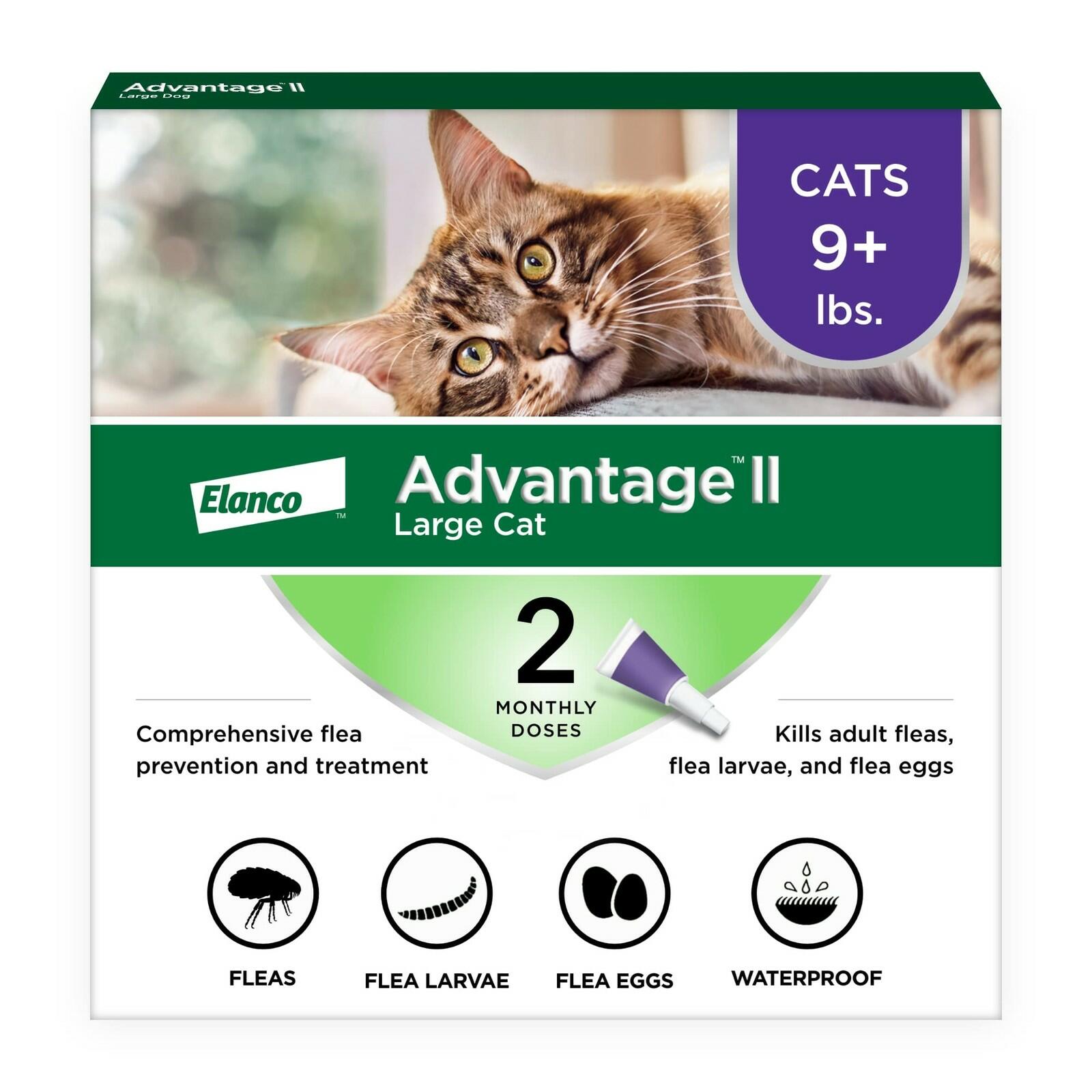 Advantage II Large Cat Vet-Recommended Flea Treatment & Prevention | Cats Over 9
