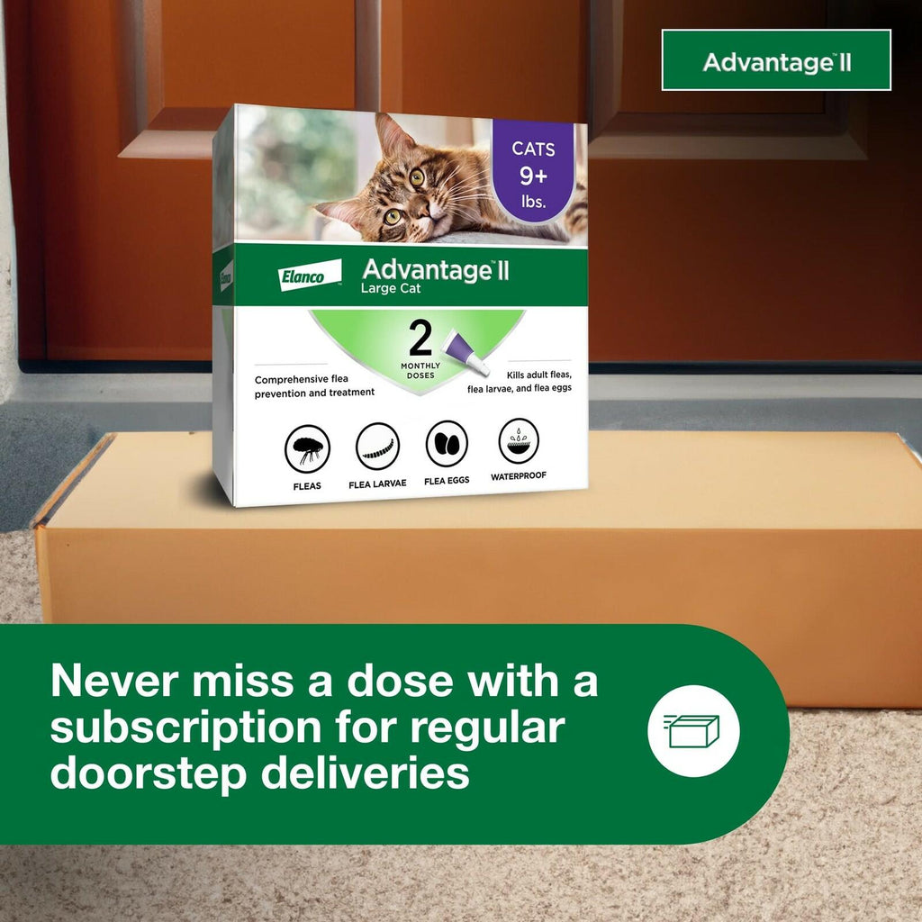 Advantage II Large Cat Vet-Recommended Flea Treatment & Prevention | Cats Over 9