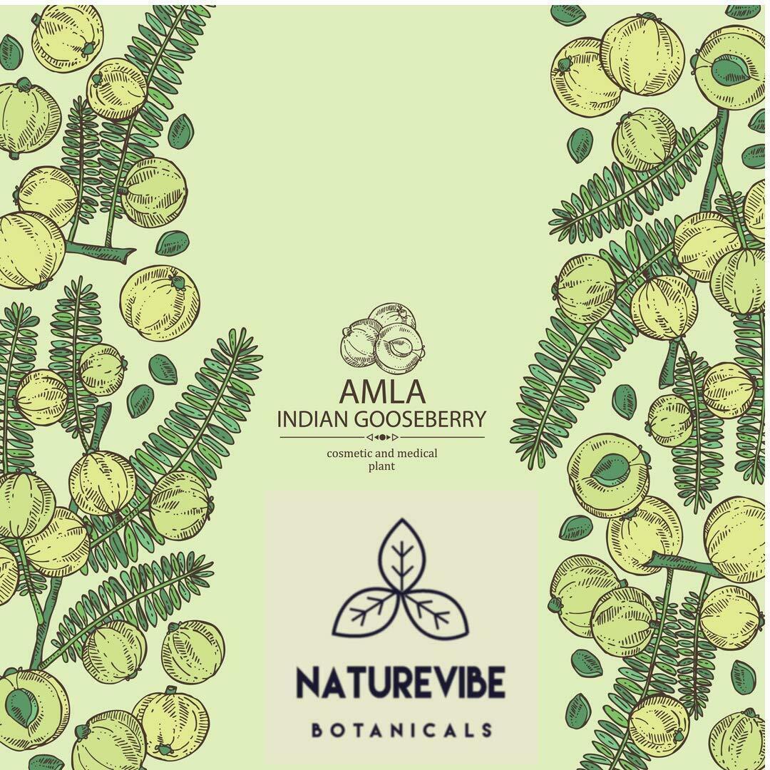 Organic Amla Berry Powder, 8 ounce by Naturevibe Botanicals - Organic