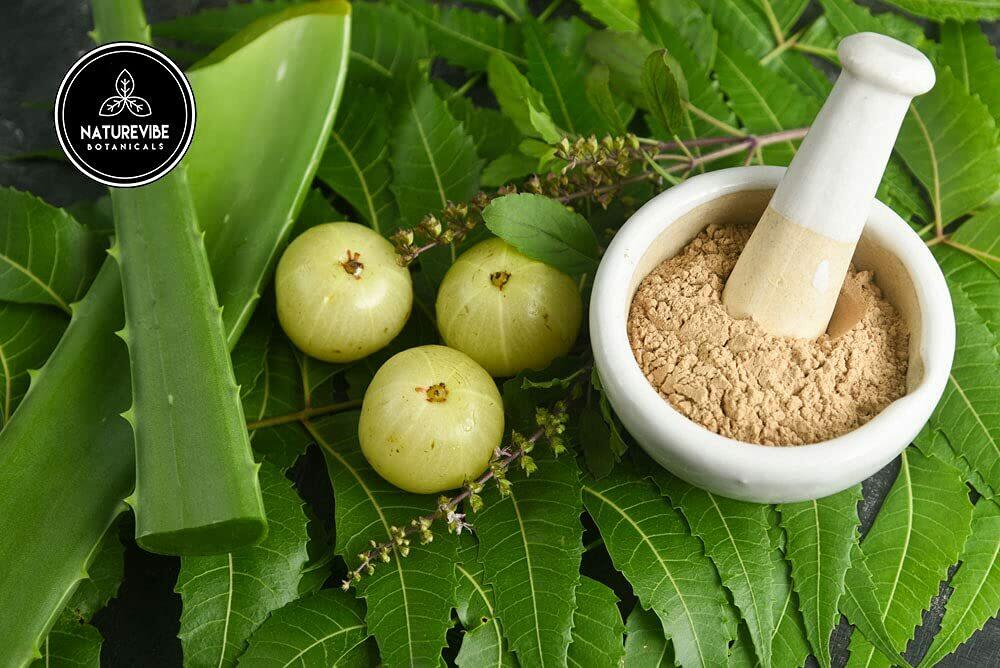 Organic Amla Berry Powder, 8 ounce by Naturevibe Botanicals - Organic