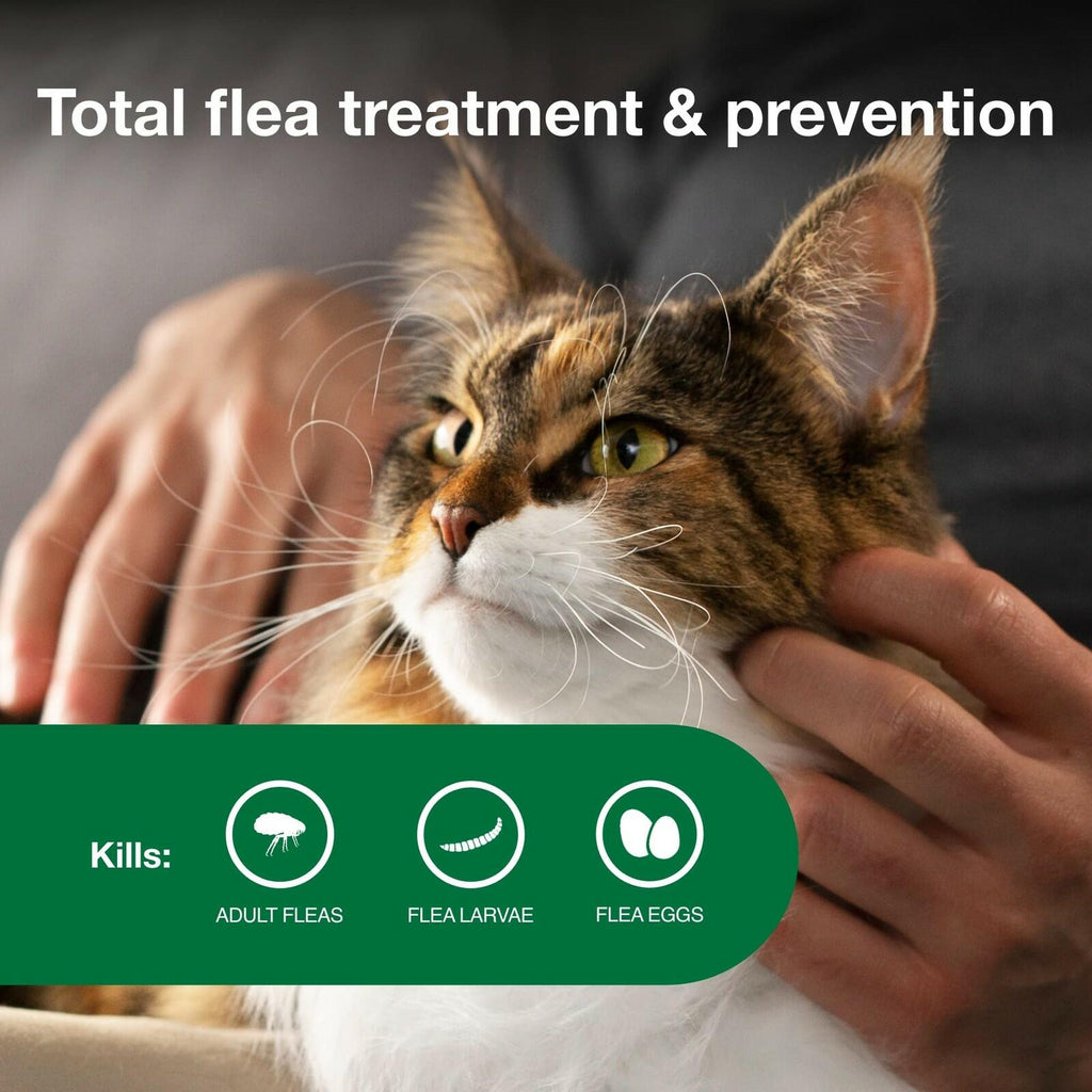 Advantage II Large Cat Vet-Recommended Flea Treatment & Prevention | Cats Over 9