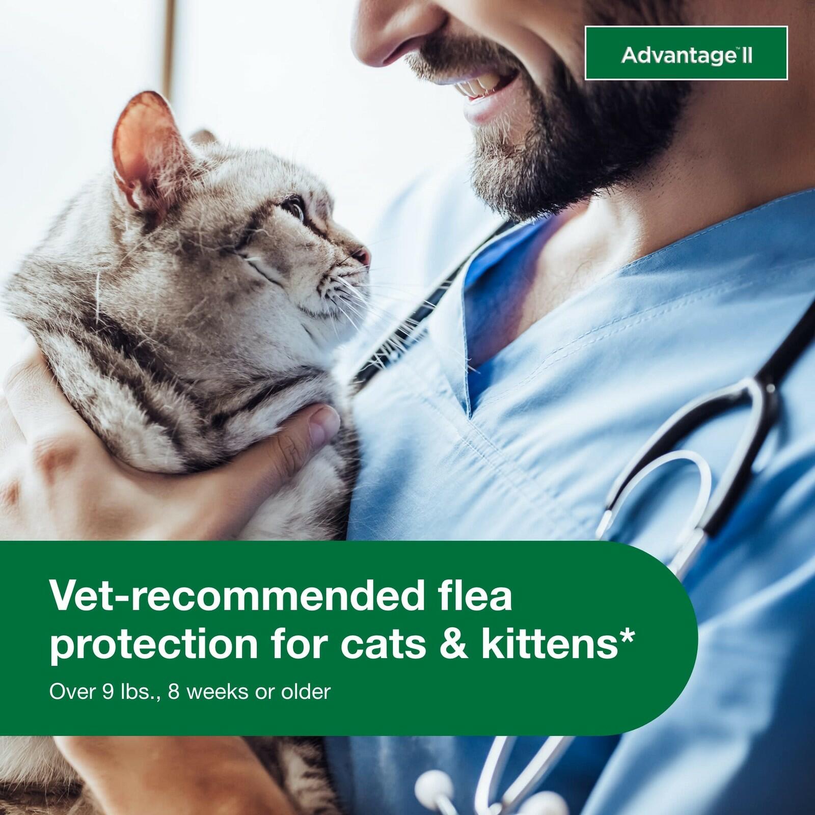 Advantage II Large Cat Vet-Recommended Flea Treatment & Prevention | Cats Over 9