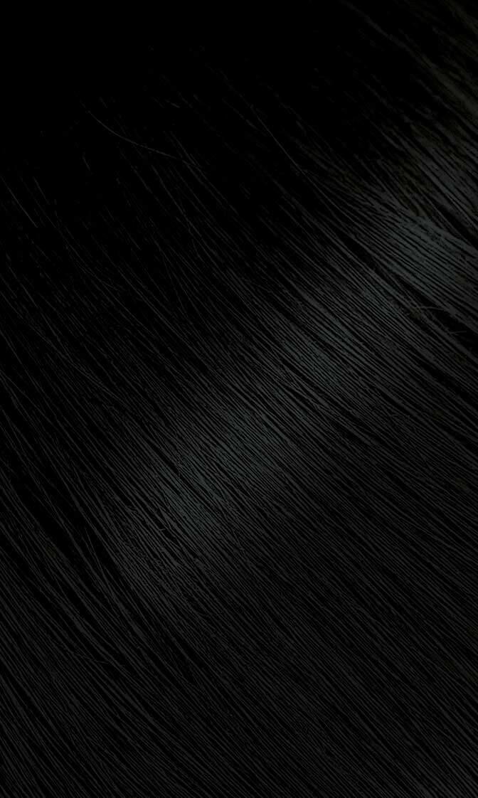 Oriental Black Bigen Permanent Powder #59