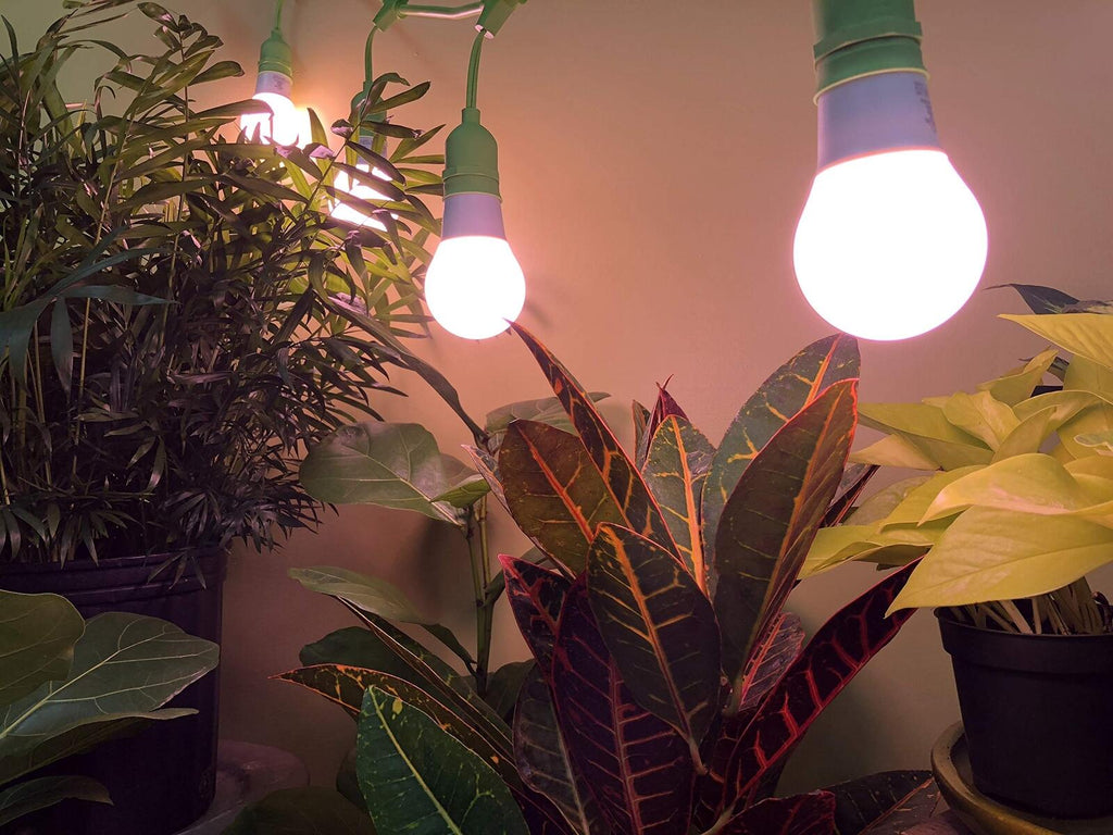 Miracle LED Plant Survival Indoor Grow Light Kit - 4 Absolute Daylight Plus Red