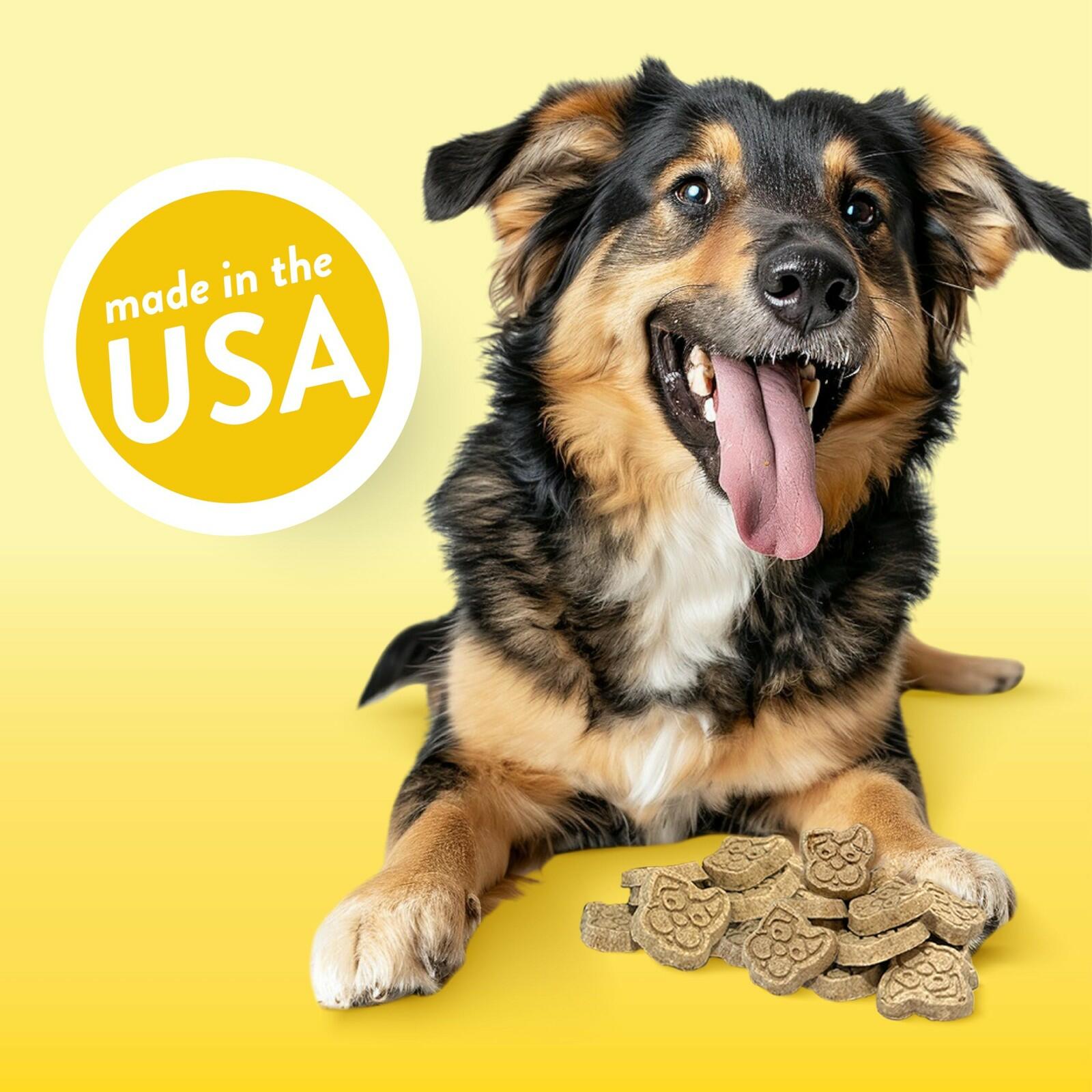 Spunky pup Hunny Bunny, Crunchy Biscuit Treats, 10 oz