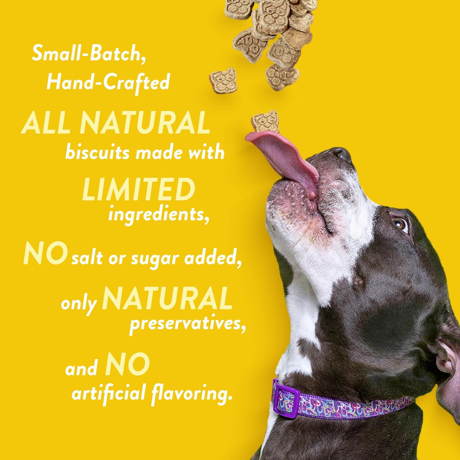 Spunky pup Hunny Bunny, Crunchy Biscuit Treats, 10 oz
