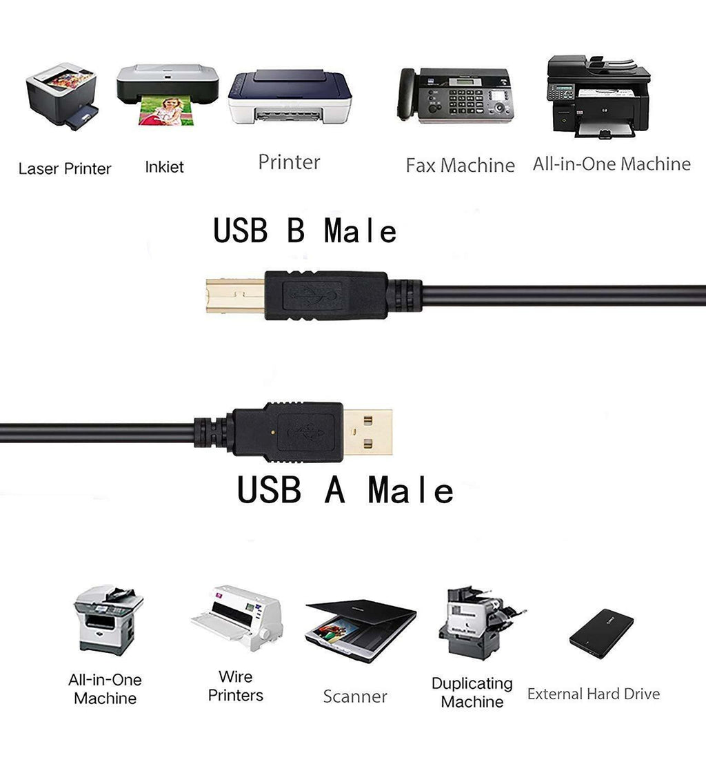 NewPowerGear USB Printer Scanner Cable Cord Replacement for LaCie d2 Quadra Disk