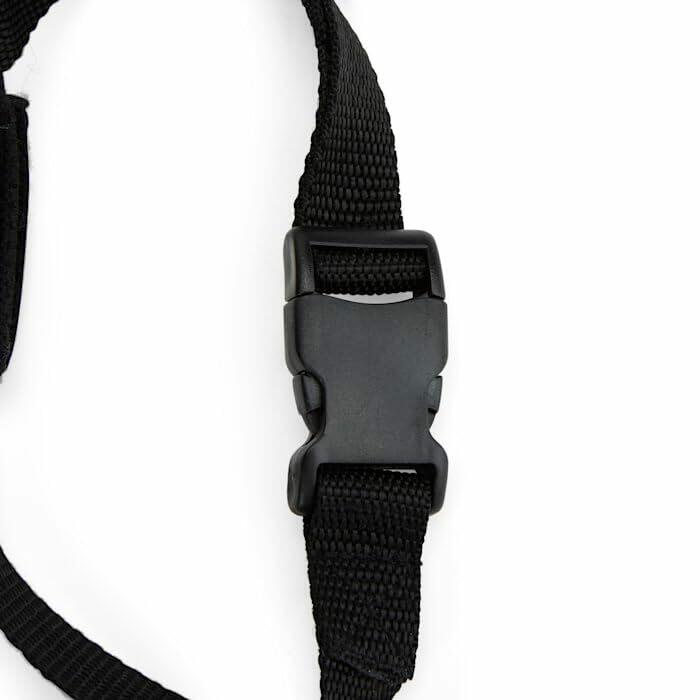 EveryYay Mind Your Manners Nylon Dog Muzzle Small