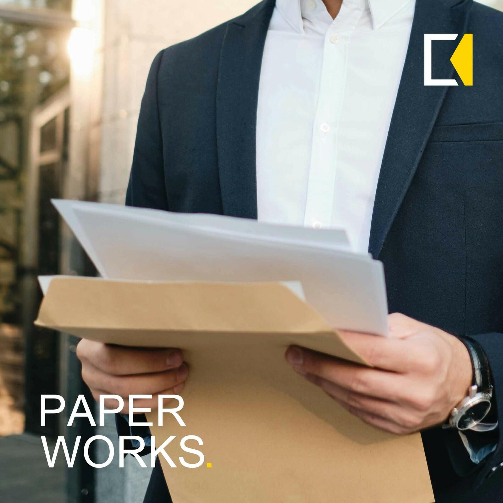 6x9 Booklet Envelopes - 250 Pack - Self Seal Mailing Envelopes - White Letter