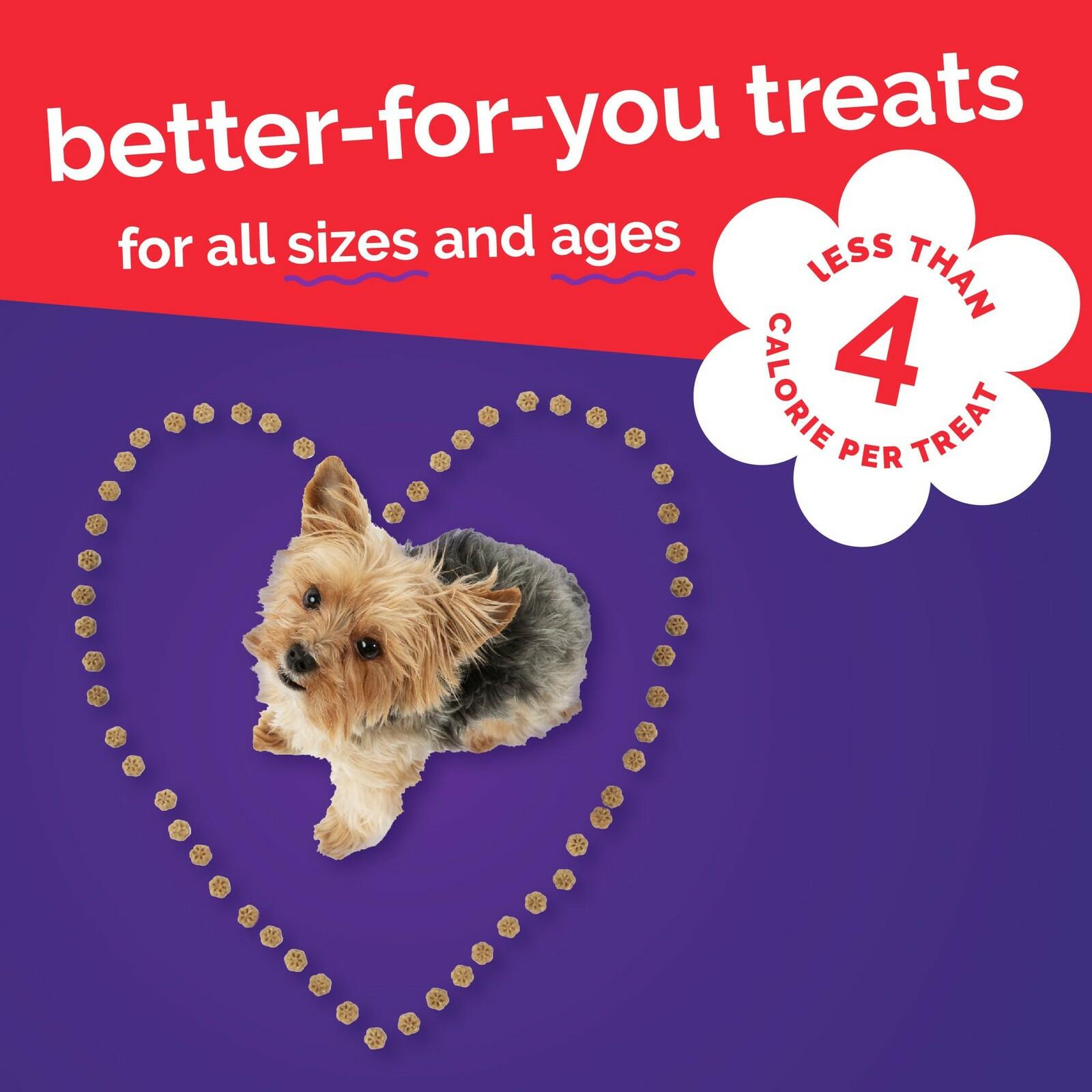 Fruitables Skinny Mini Dog Treats, Healthy Sweet Potato Treat for Dogs, Low