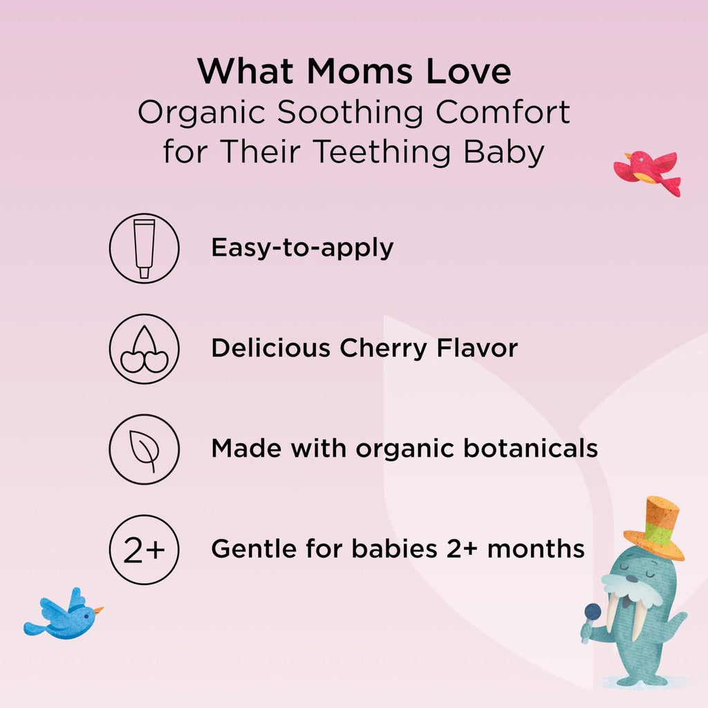 Hyland's Baby Organic Day Oral Soothing Gel, with Chamomile, Calendula, and
