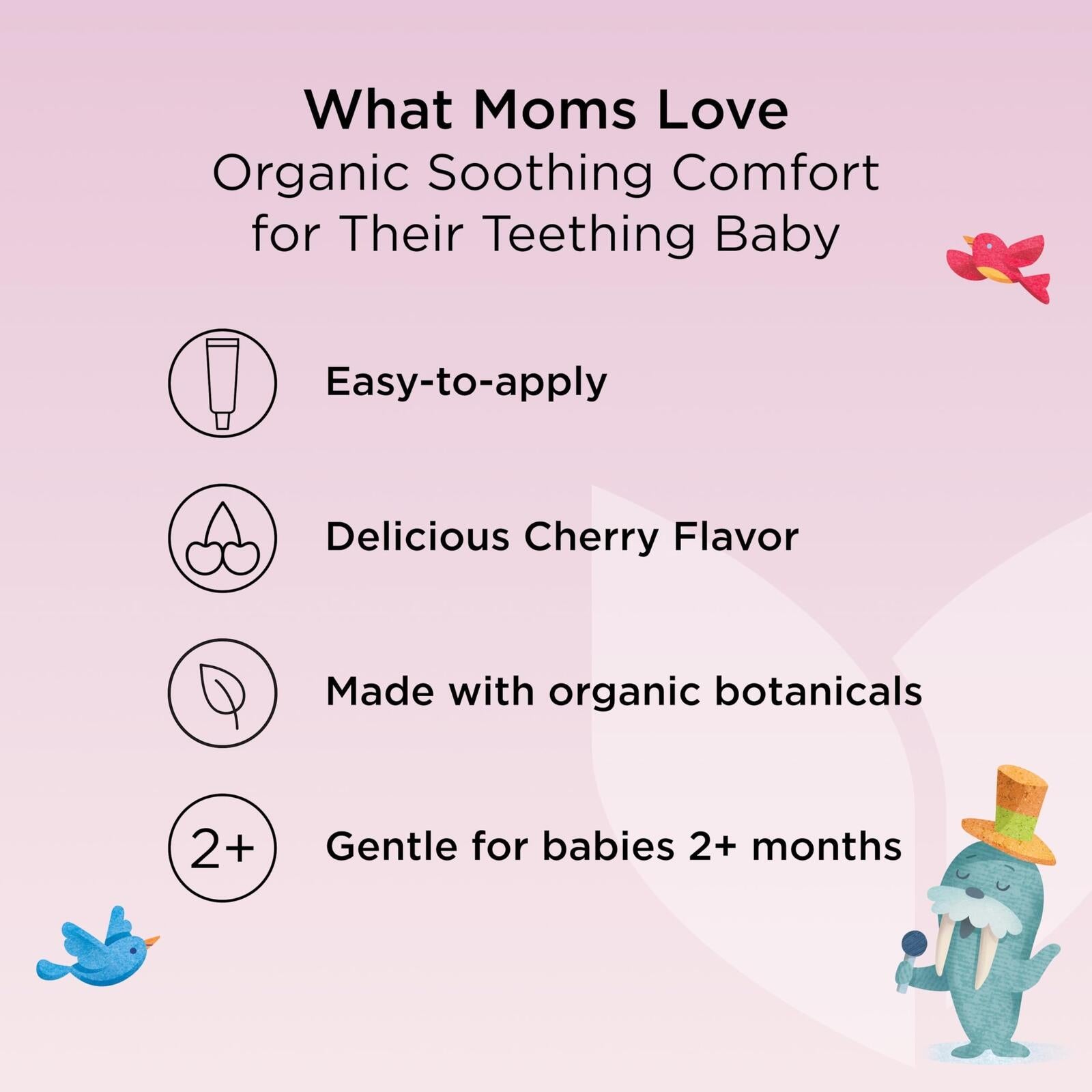 Hyland's Baby Organic Day Oral Soothing Gel, with Chamomile, Calendula, and