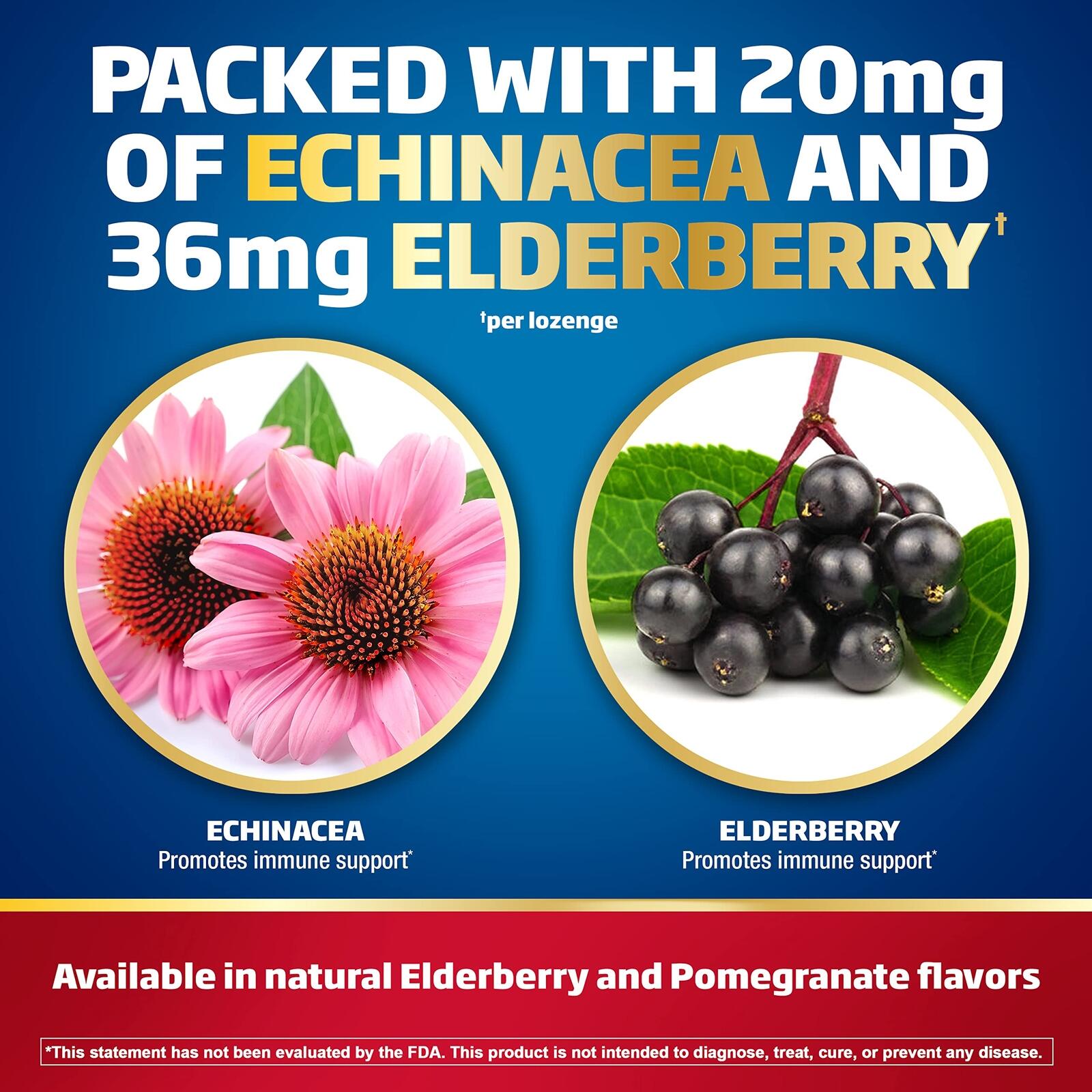 Defend-EEZE Immune Support Dietary Supplement Lozenges, 100% Daily Value of