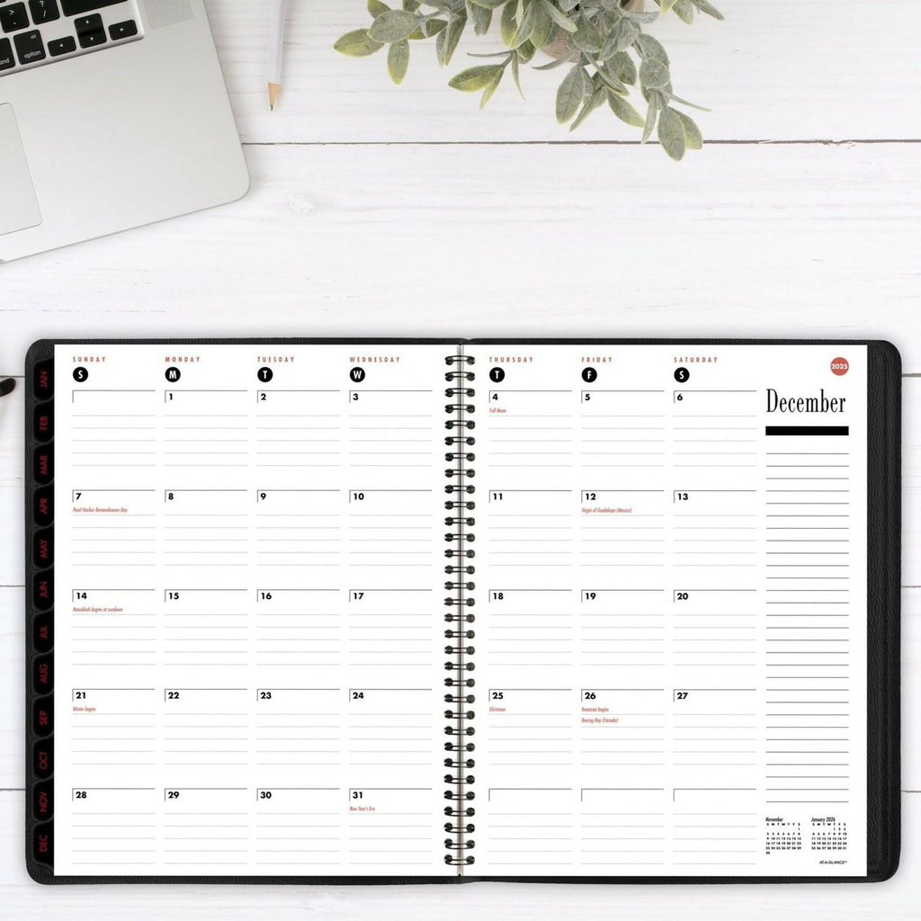 2025 AT-A-GLANCE® 800 Range Weekly/Monthly Appointment Book Planner, 8-1/4" x