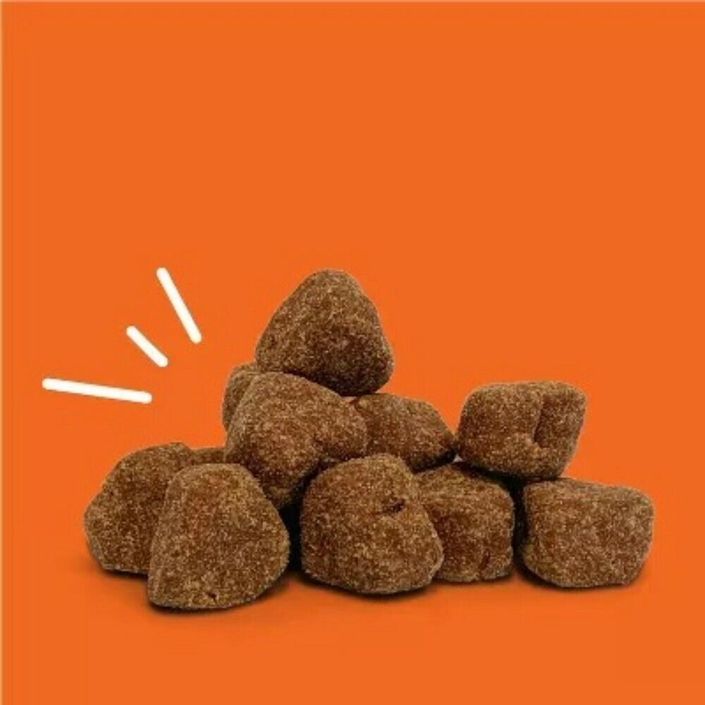 Advanced Behavior Calming Soft Chews for Dogs - Turkey Flavor - 60ct