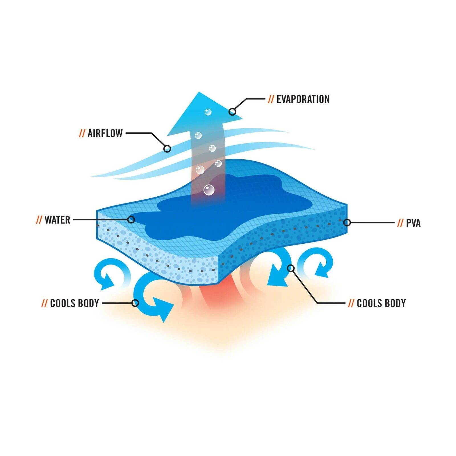 Ergodyne Chill-Its 6710CT Evaporative Cooling Dew Rag, Blue