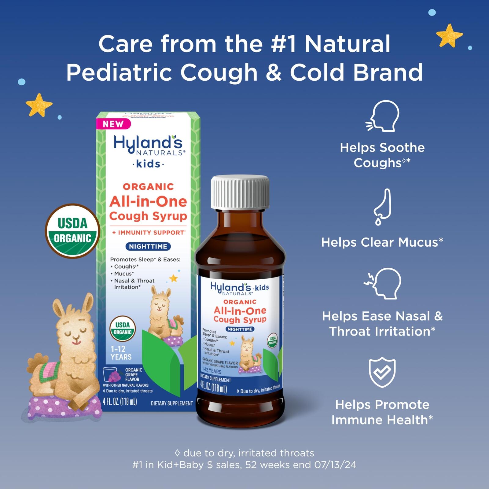 Hyland's Kids Organic All in One Cough Syrup Nighttime - Grape