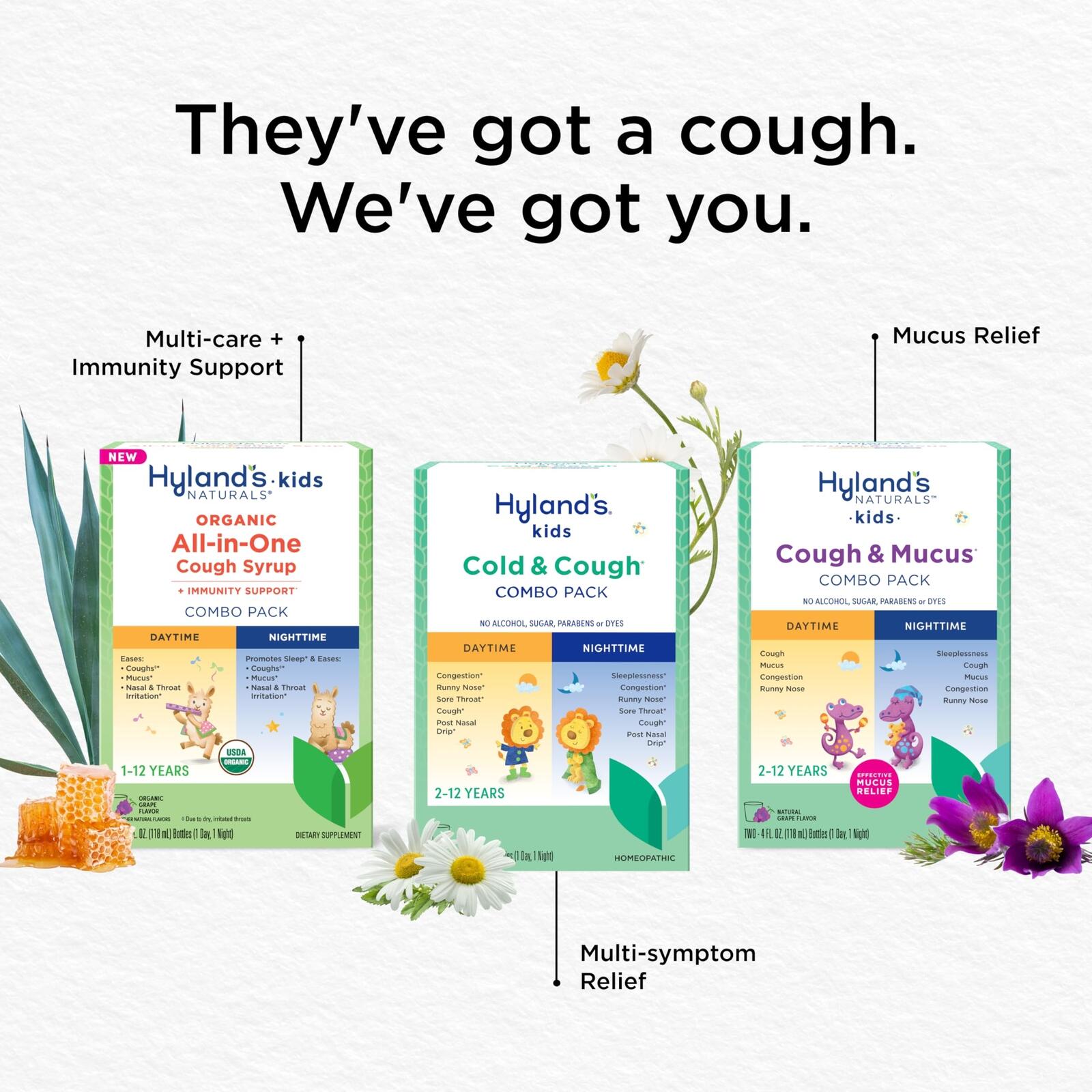 Hyland's Kids Organic All in One Cough Syrup Nighttime - Grape