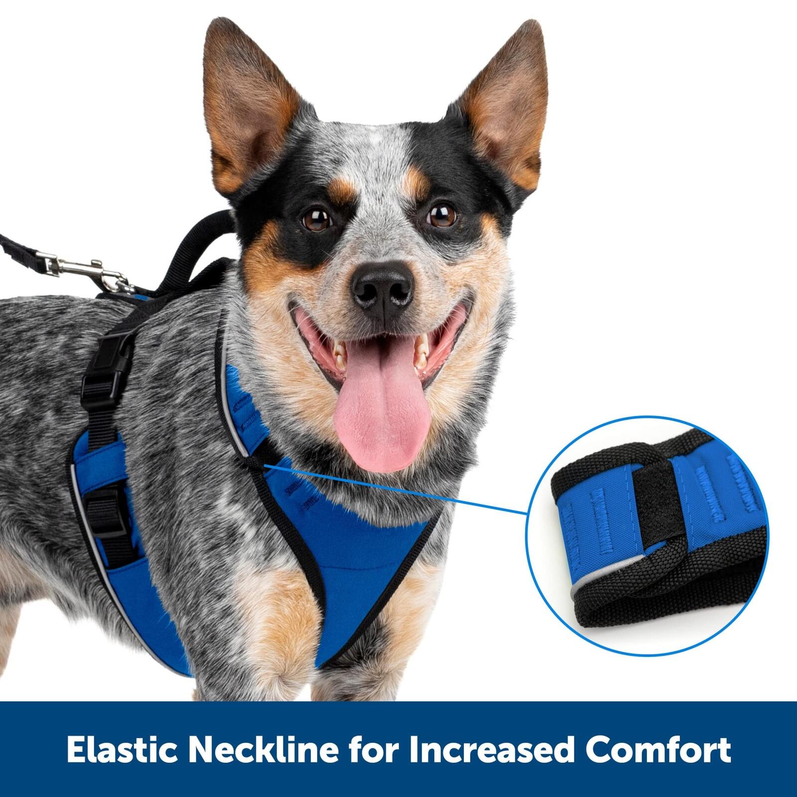 PetSafe EasySport Dog Harness – Adjustable, Padded Dog Harness with Control