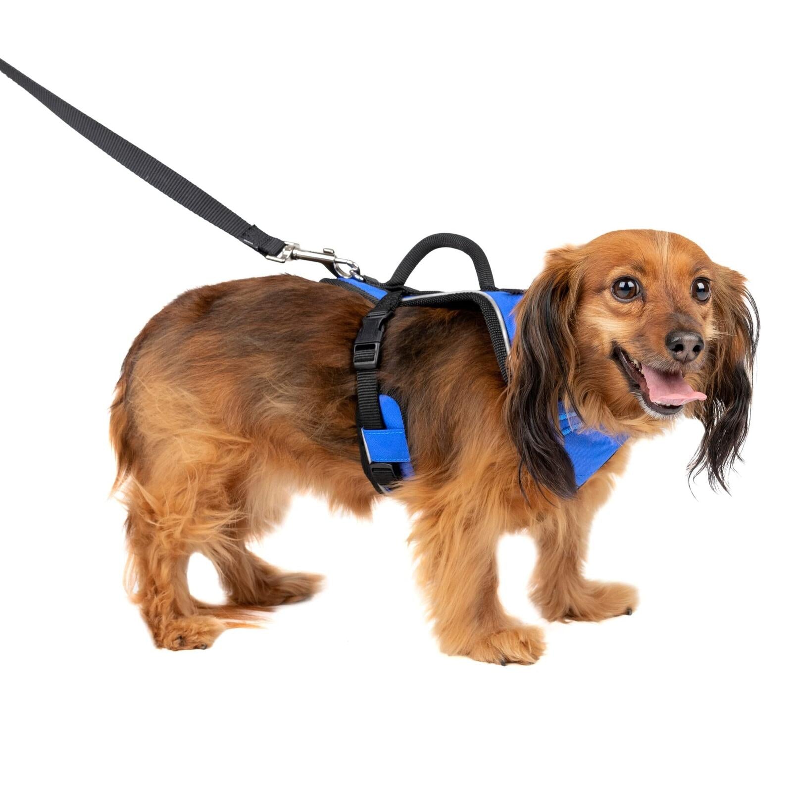 PetSafe EasySport Dog Harness – Adjustable, Padded Dog Harness with Control