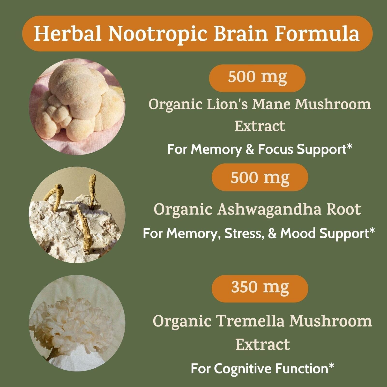 Peak + Valley Nootropic Brain Support Supplement for Memory & Focus with Lion's