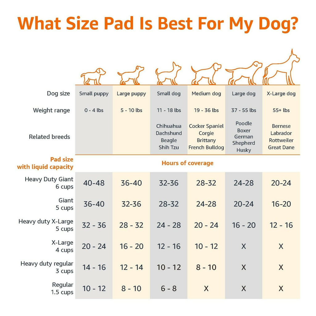 Amazon Basics X-Large Absorbent Puppy Pads, Leak-Proof, Quick-Dry, 28 x 34