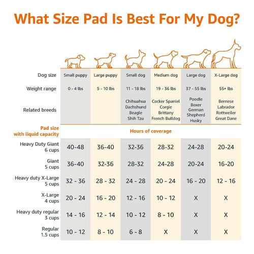 Amazon Basics X-Large Absorbent Puppy Pads, Leak-Proof, Quick-Dry, 28 x 34