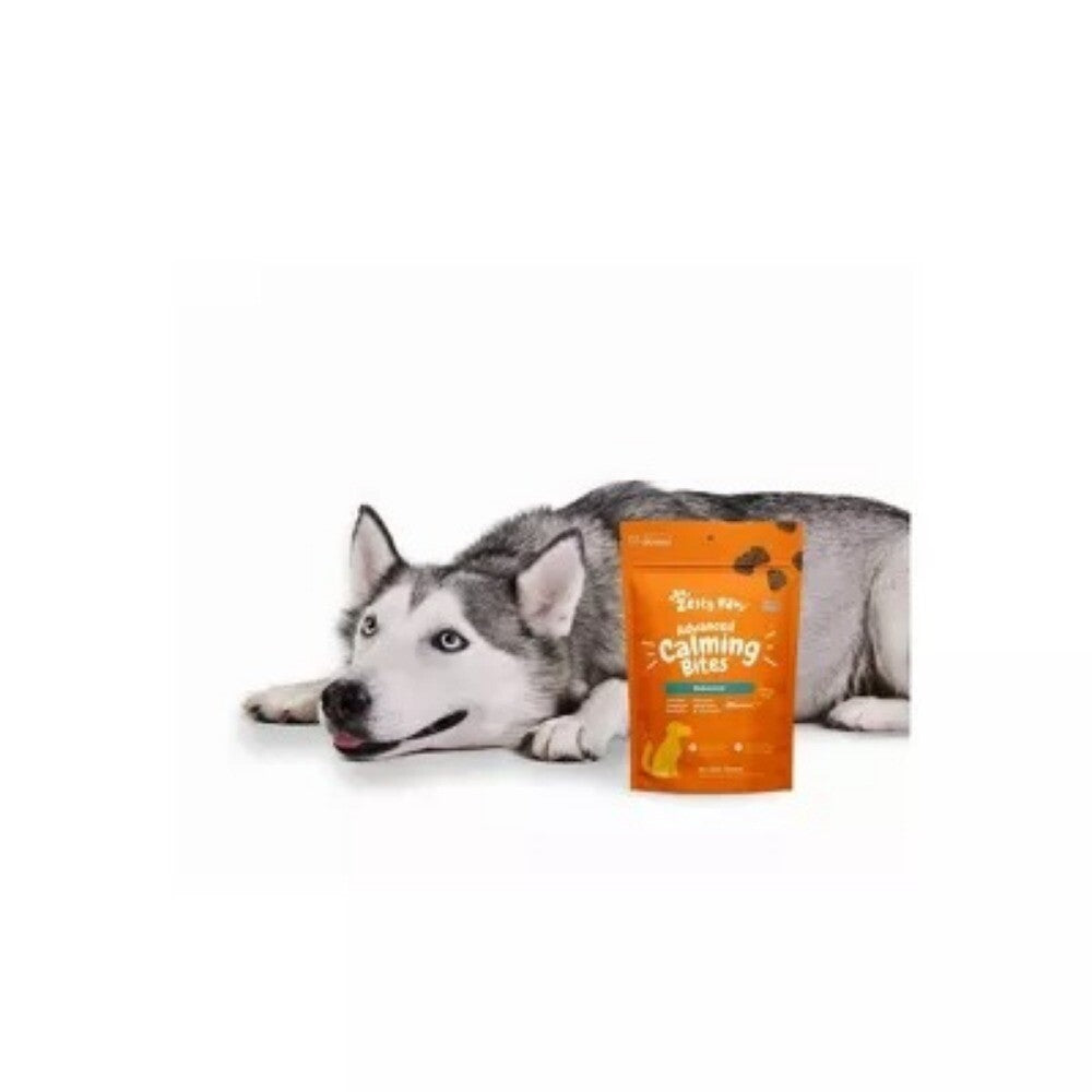 Advanced Behavior Calming Soft Chews for Dogs - Turkey Flavor - 60ct
